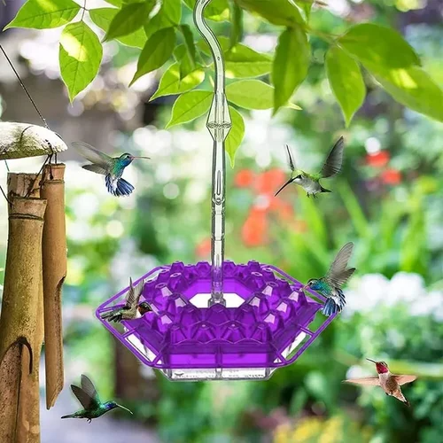 Funfany Sweety Hummingbird Feeder
