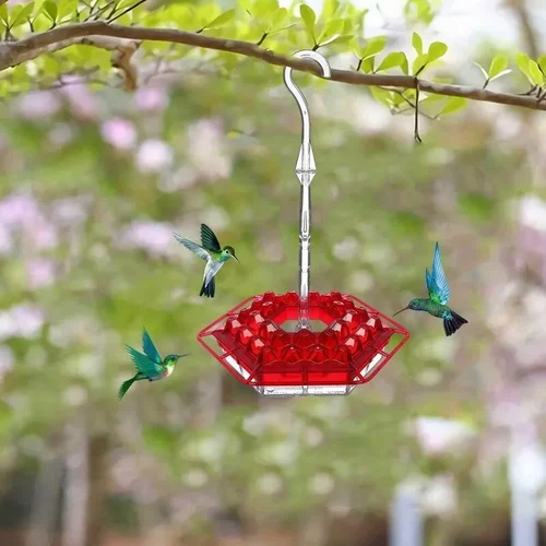 Funfany Sweety Hummingbird Feeder